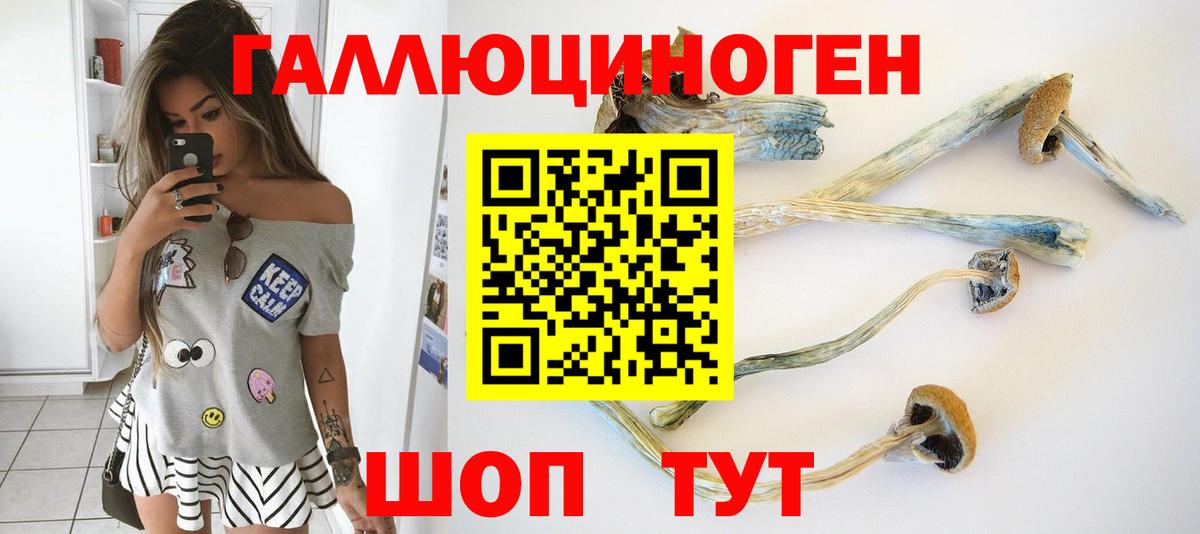 Псилоцибиновые грибы MAGIC MUSHROOMS  Вход с VPN  Великий Устюг  Псилоцибиновые грибы ЛСД 